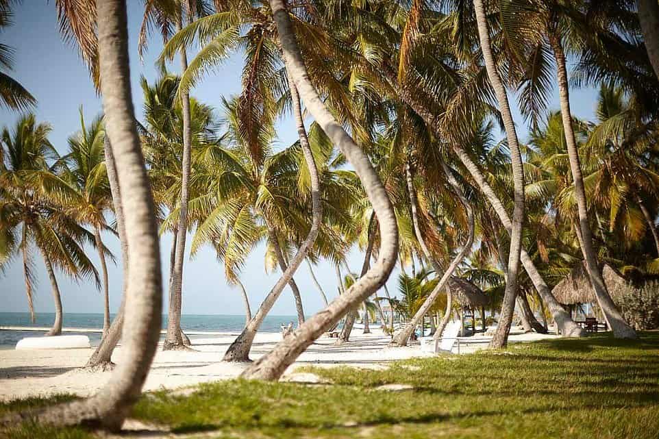 America First Coast Travel features in Daily Mail