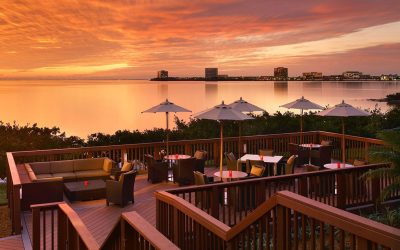 Grand Hyatt Tampa Bay